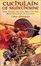 Cover of "Cuchulain of Muirthemne"
