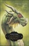 Cover of L'ultimo drago