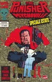 Cover of Il Punitore: Psychoville
