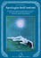 Cover of Apologia dell'estasi
