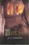 Cover of "Dark Fire"
