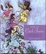 Cover of How to Catch Fairies