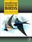 Cover of "The Migration Ecology of Birds"