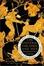 <span class='translatable' lang='Cover of '{[title]}''>Cover of 'The Universe, the Gods, and Men'</span>
