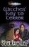 Cover of Witches' Key to Terror