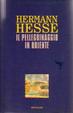 Cover of Il pellegrinaggio in oriente