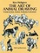 Cover of The Art of Animal Drawing