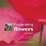 Cover of "Photographing Flowers"