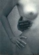 Cover of Amore & desiderio