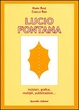 Cover of Lucio Fontana