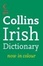 Cover of "Irish Dictionary"