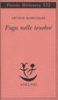 Cover of Fuga nelle tenebre