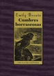 Cover of Cumbres borrascosas