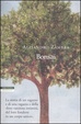 Cover of Bonsai