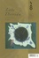 Cover of "Late Derrida"