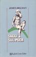 Cover of Saggi sul Puer