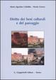 Cover of Diritto dei beni culturali e del paesaggio