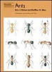 Cover of Ants