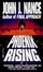 Cover of 'Phoenix Rising'