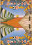 Cover of Monty Python