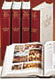 Cover of Vocabolario della lingua italiana Treccani