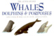 Cover of Whales, Dolphins, and Porpoises