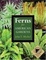 Cover of Ferns for American Gardens