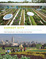 Cover of Carrot City