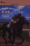 Cover of Black Gold