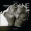 Cover of Voglio un cane
