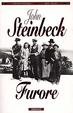 Cover of Furore