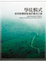 Cover of 學徒模式