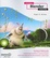 Cover of Foundation Blender Compositing