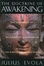 Cover of The Doctrine of Awakening
