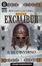 Cover of Il Romanzo di Excalibur