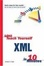Cover of "Sams Teach Yourself XML in 10 Minutes"