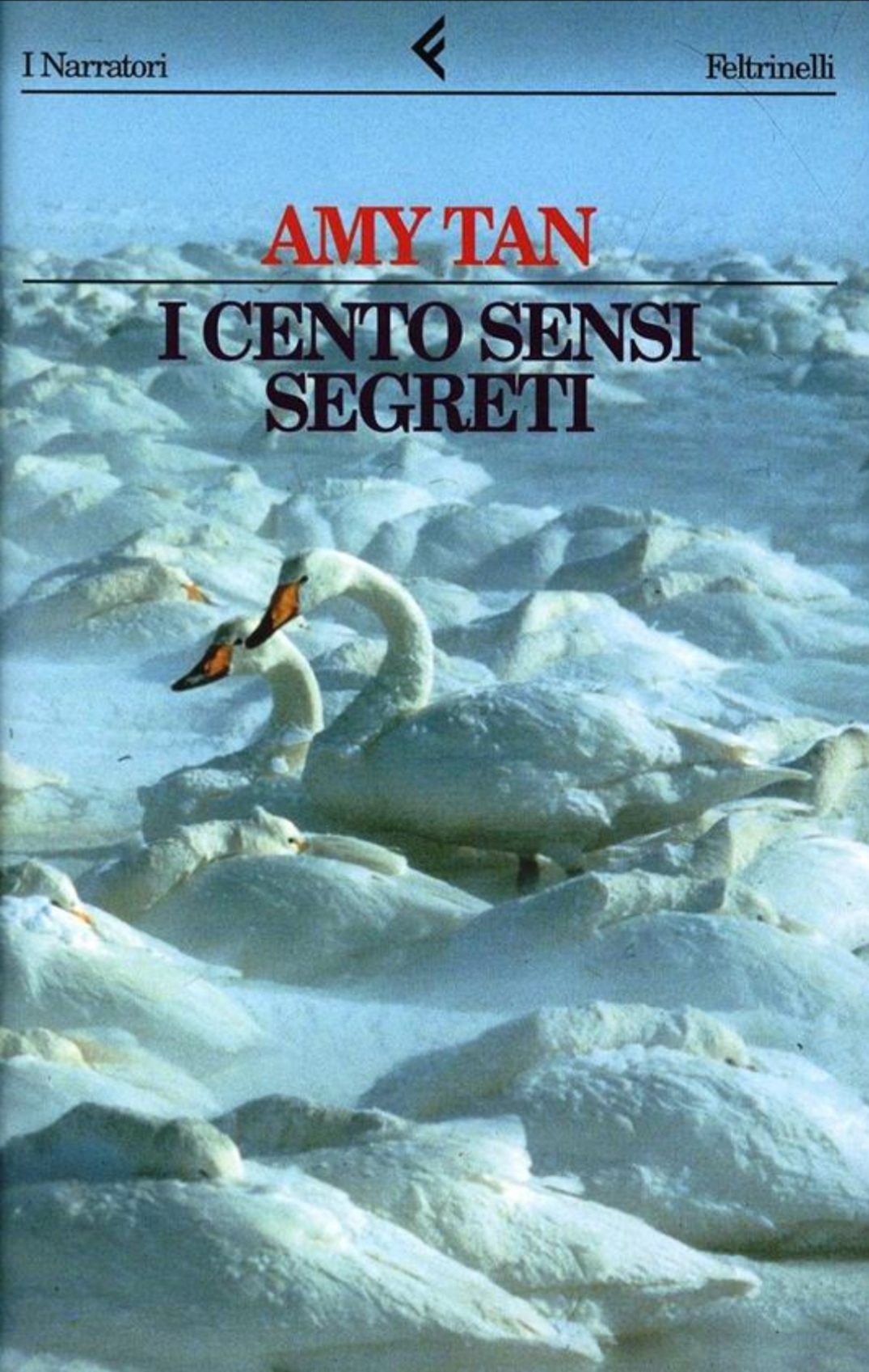 Image of I cento sensi segreti