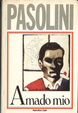 Cover of Amado mio