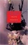 Cover of "The Pure and the Impure"