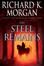 Cover of The Steel Remains