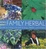 Cover of 'Rosemary Gladstar's Family Herbal'