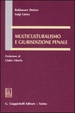 Cover of Multiculturalismo e giurisdizione penale