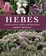 Cover of 'Hebes'