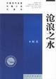 Cover of 沧浪之水