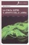 Cover of La colpa sotto il manto della ladra