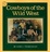 Cover of "Cowboys of the Wild West"