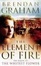Cover of "The Element of Fire"