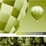 Cover of Starting a Fresh Expression