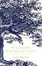Cover of Our Father Who Art in a Tree