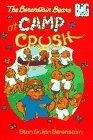The Berenstain Bears at Camp Crush (Big Chapter Books(TM))
